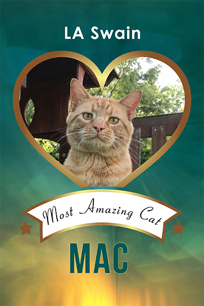 MAC: Most Amazing Cat